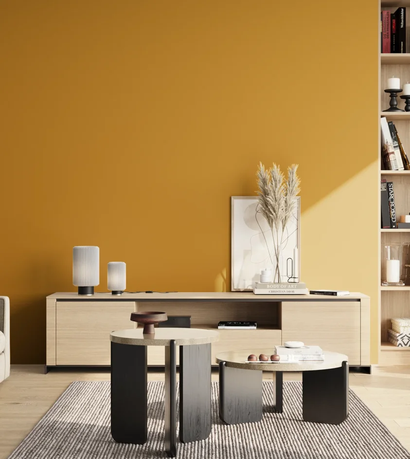 P10_SNIEZKA_salon_02_poludnie_GREY_RAL1005