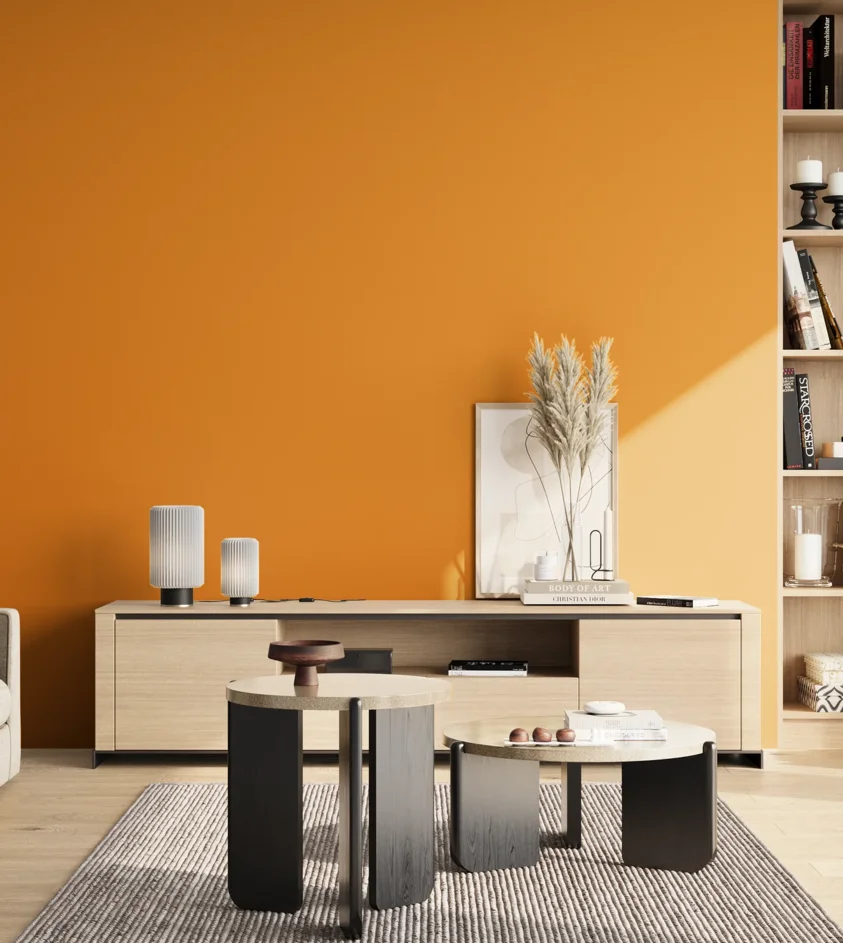 P10_SNIEZKA_salon_02_poludnie_GREY_RAL1007