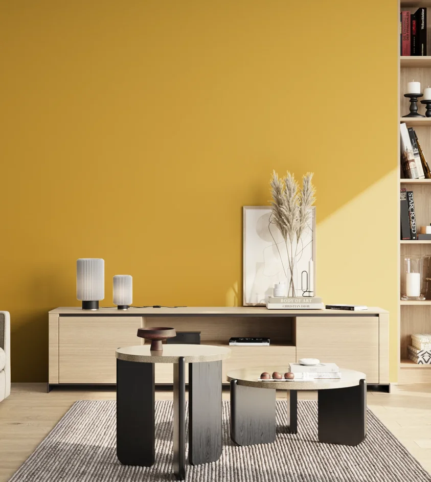 P10_SNIEZKA_salon_02_poludnie_GREY_RAL1012