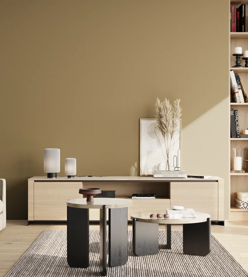 P10_SNIEZKA_salon_02_poludnie_GREY_RAL1020