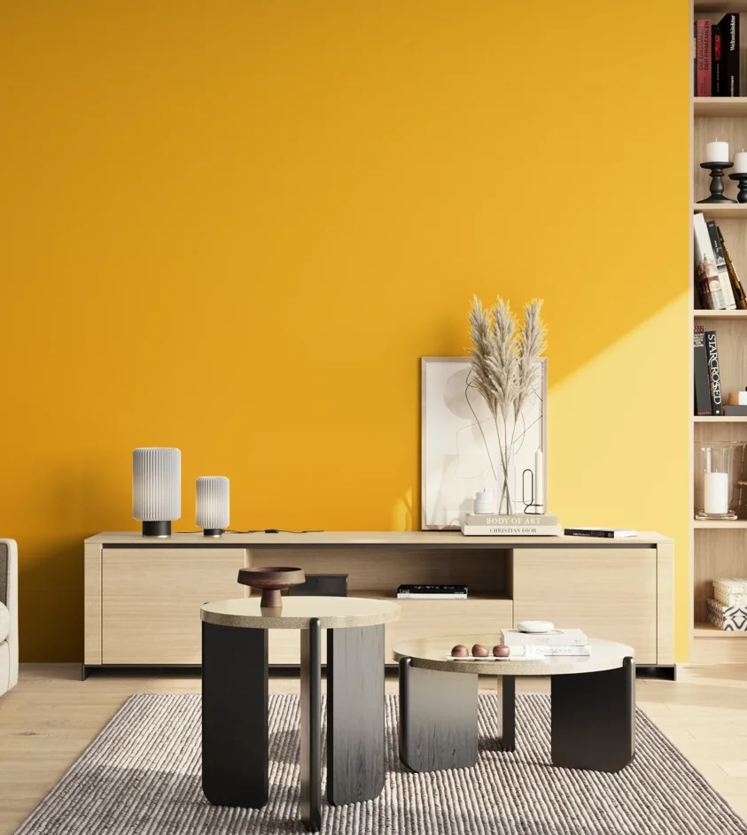 P10_SNIEZKA_salon_02_poludnie_GREY_RAL1023