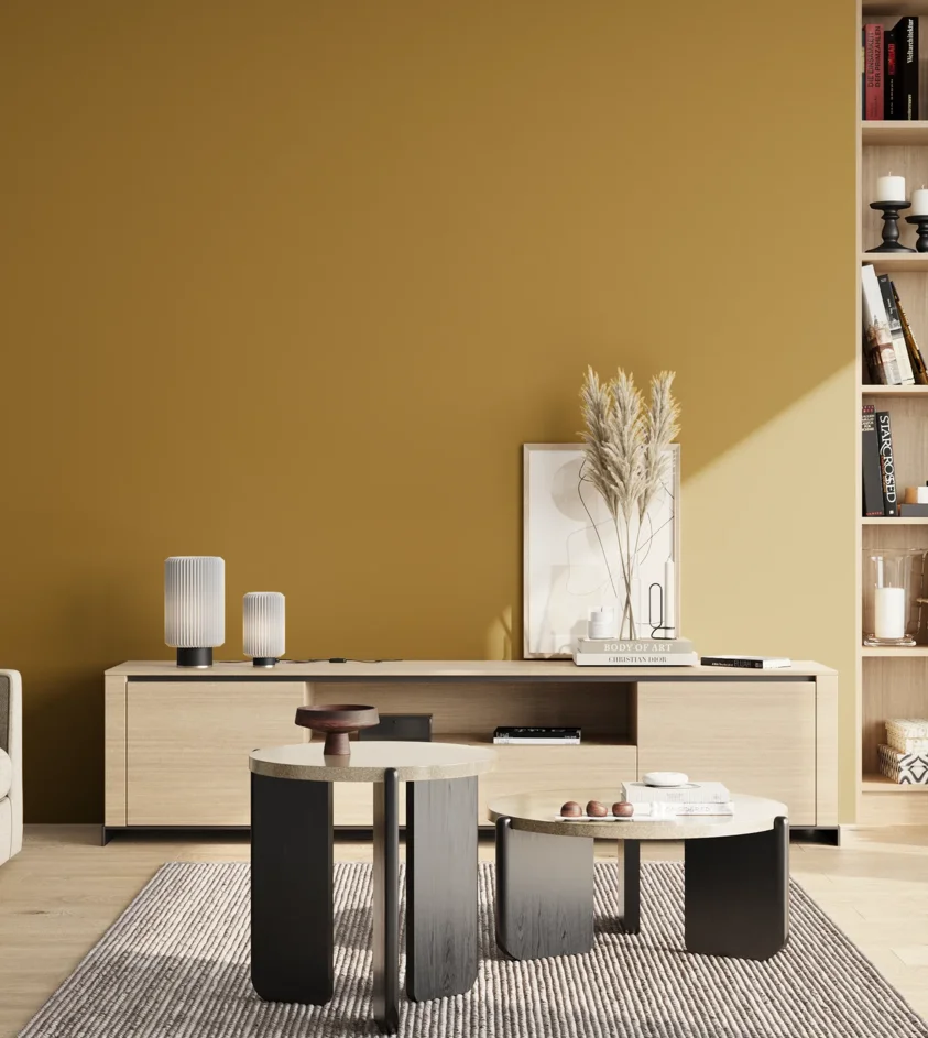 P10_SNIEZKA_salon_02_poludnie_GREY_RAL1027