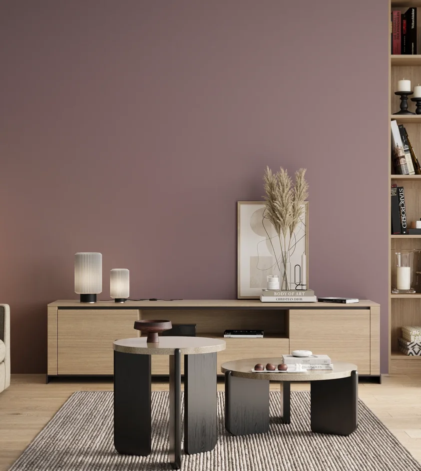 P10_SNIEZKA_salon_00_neutral_GREY_RAL4009