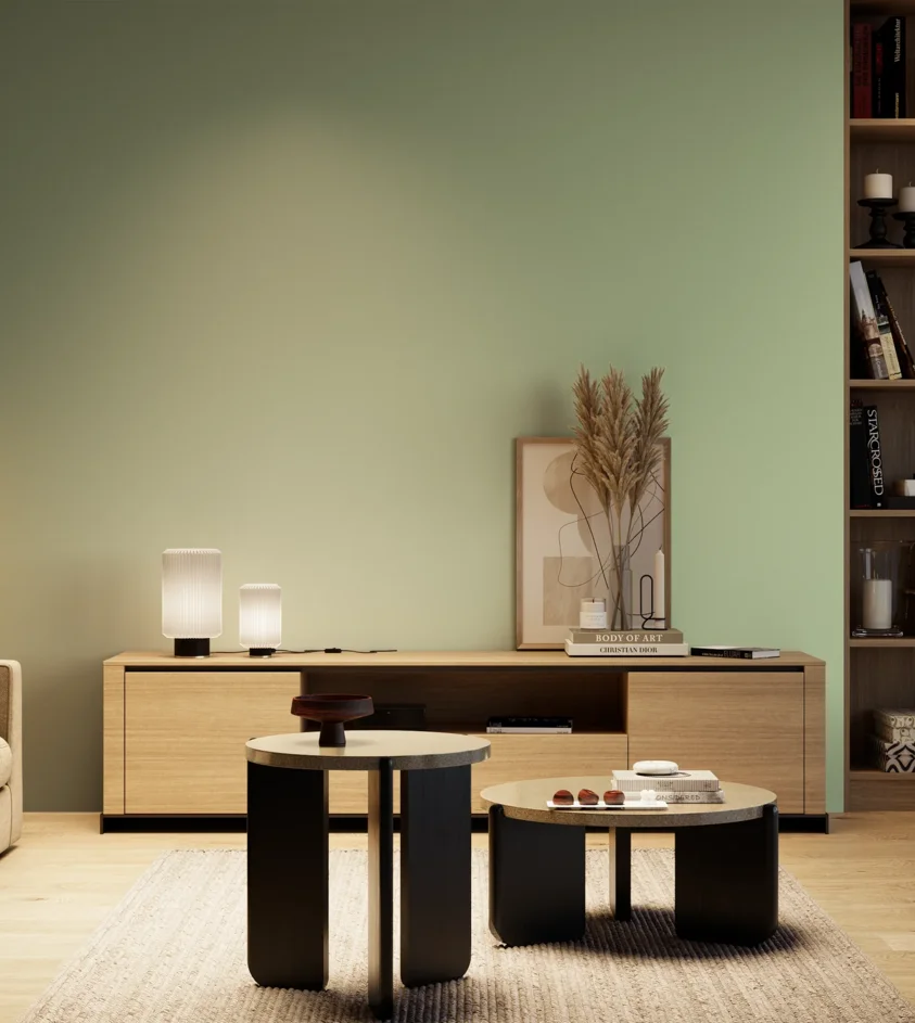 P10_SNIEZKA_salon_04_cieple_GREY_RAL6019