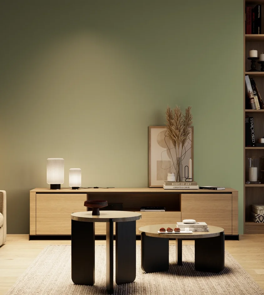 P10_SNIEZKA_salon_04_cieple_GREY_RAL6021