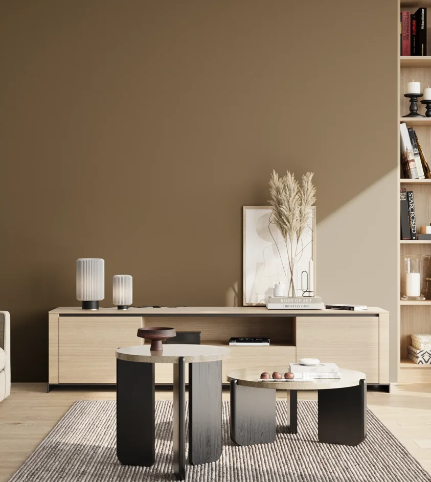 P10_SNIEZKA_salon_02_poludnie_GREY_RAL7008
