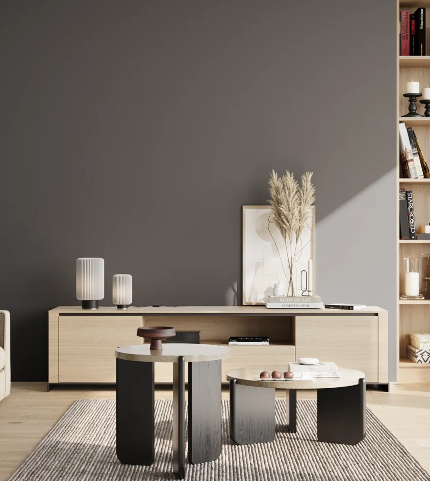 P10_SNIEZKA_salon_02_poludnie_GREY_RAL7015