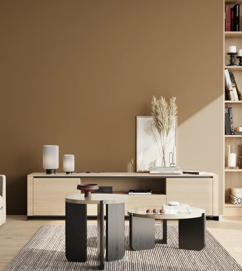 P10_SNIEZKA_salon_02_poludnie_GREY_RAL8000
