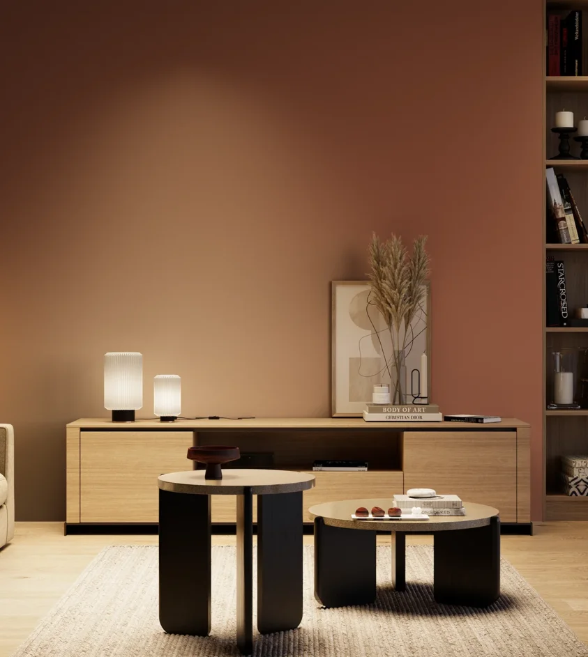 P10_SNIEZKA_salon_04_cieple_GREY_RAL8004