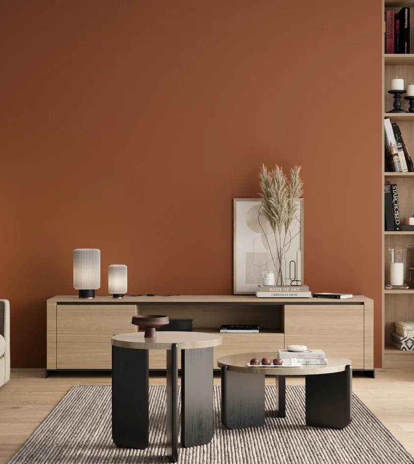 P10_SNIEZKA_salon_00_neutral_GREY_RAL8023