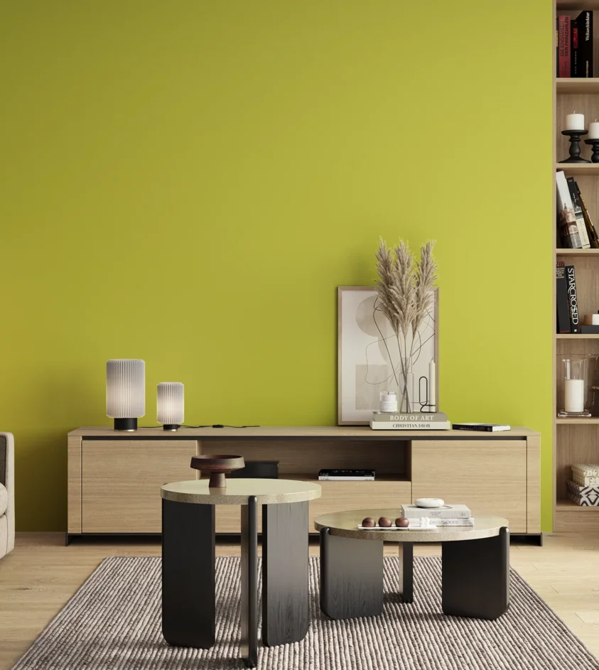 P10_SNIEZKA_salon_00_neutral_GREY_S0560-G70Y