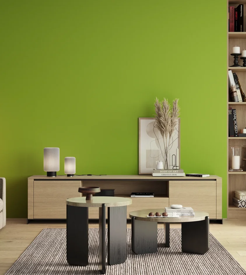 P10_SNIEZKA_salon_00_neutral_GREY_S0575-G40Y