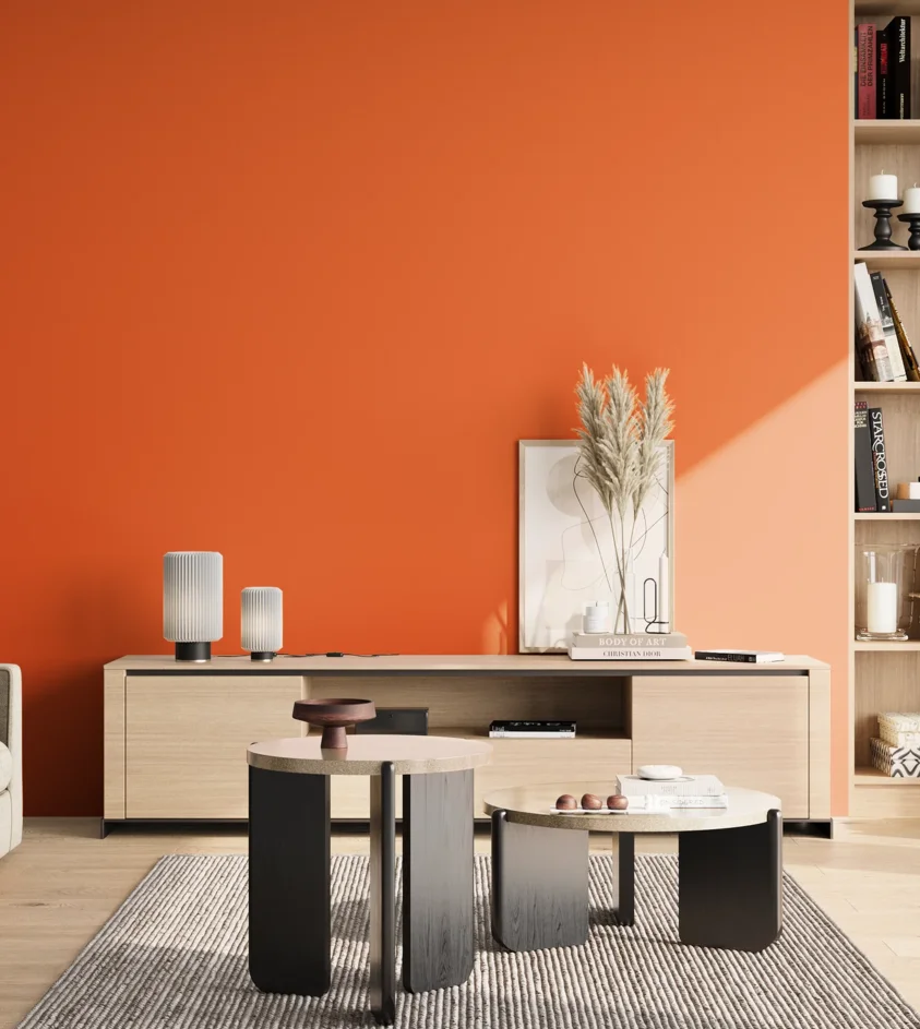 P10_SNIEZKA_salon_02_poludnie_GREY_S0585-Y60R