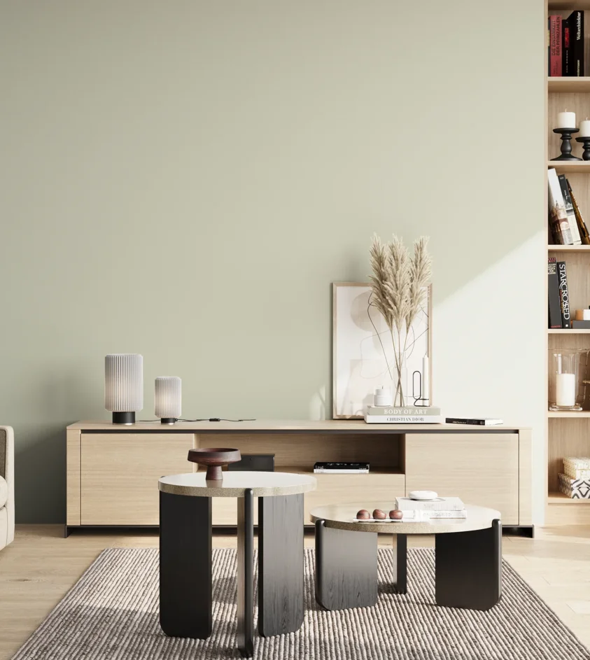 P10_SNIEZKA_salon_02_poludnie_GREY_S1005-G50Y