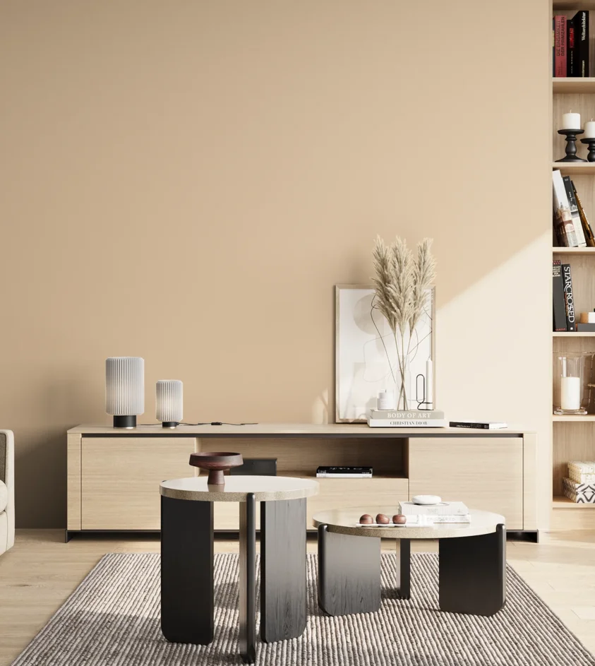 P10_SNIEZKA_salon_02_poludnie_GREY_S1010-Y40R