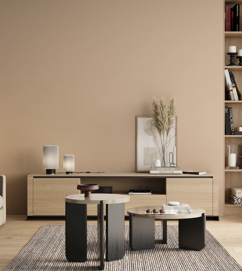 P10_SNIEZKA_salon_00_neutral_GREY_S1010-Y50R