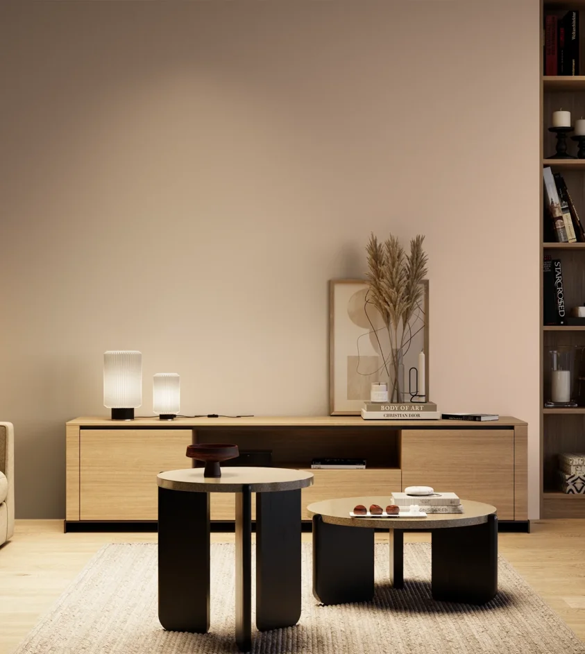 P10_SNIEZKA_salon_04_cieple_GREY_S1010-Y70R