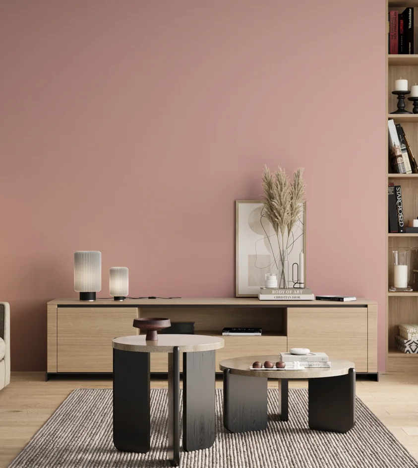 P10_SNIEZKA_salon_00_neutral_GREY_S1020-R