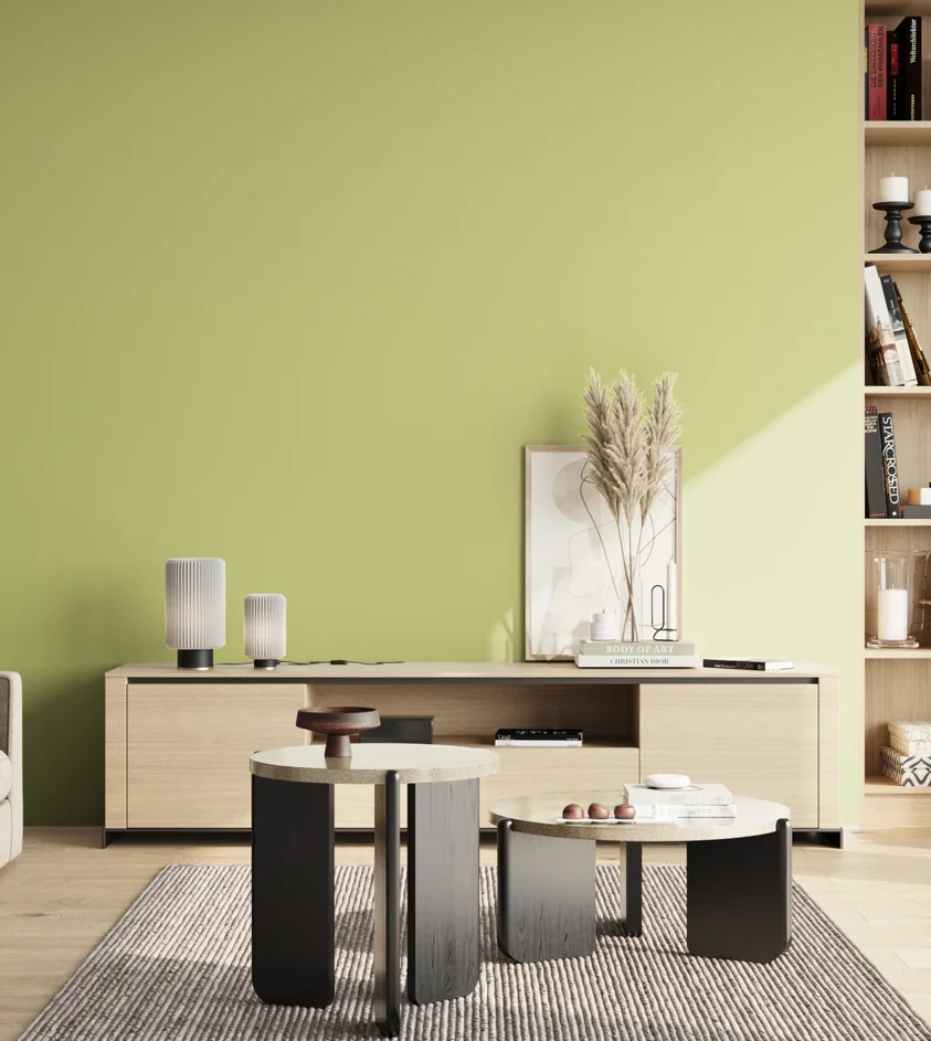 P10_SNIEZKA_salon_02_poludnie_GREY_S1030-G60Y
