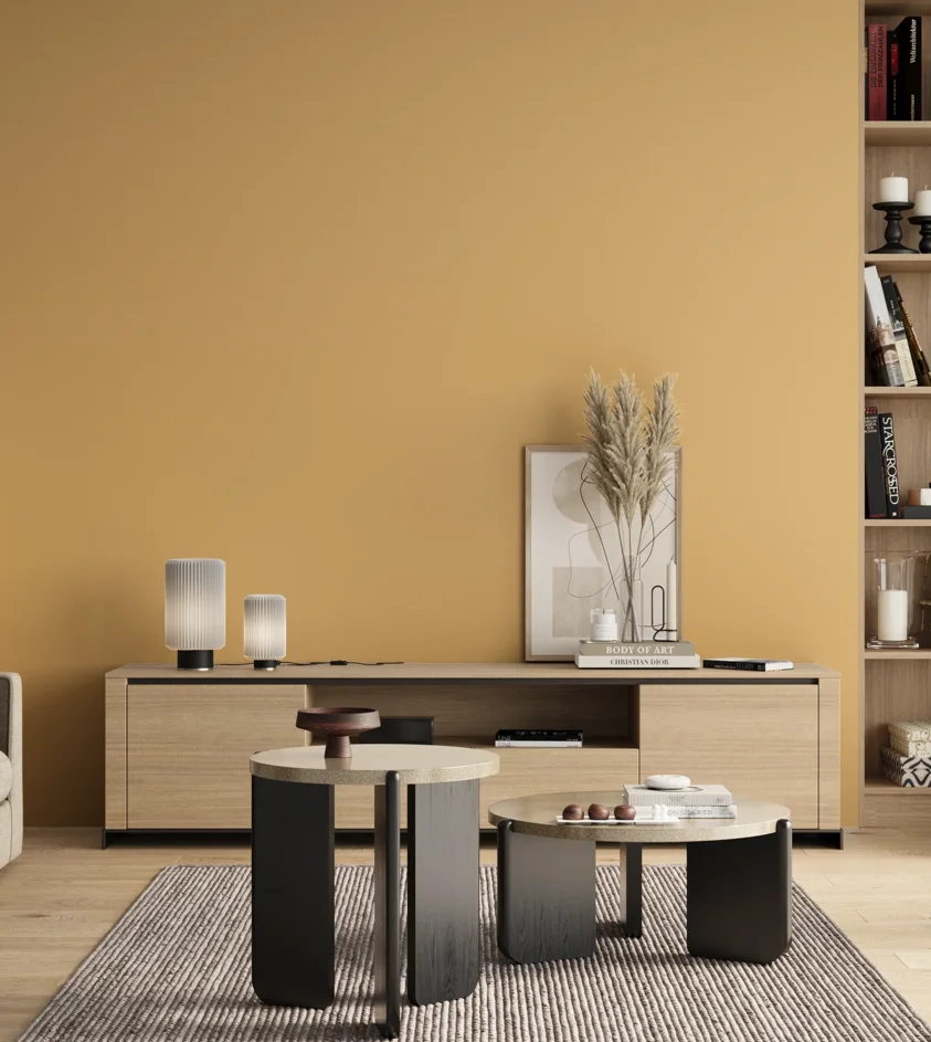 P10_SNIEZKA_salon_00_neutral_GREY_S1030-Y20R