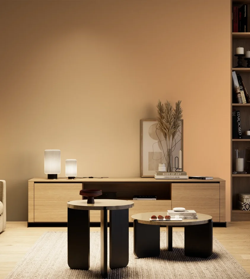 P10_SNIEZKA_salon_04_cieple_GREY_S1030-Y40R