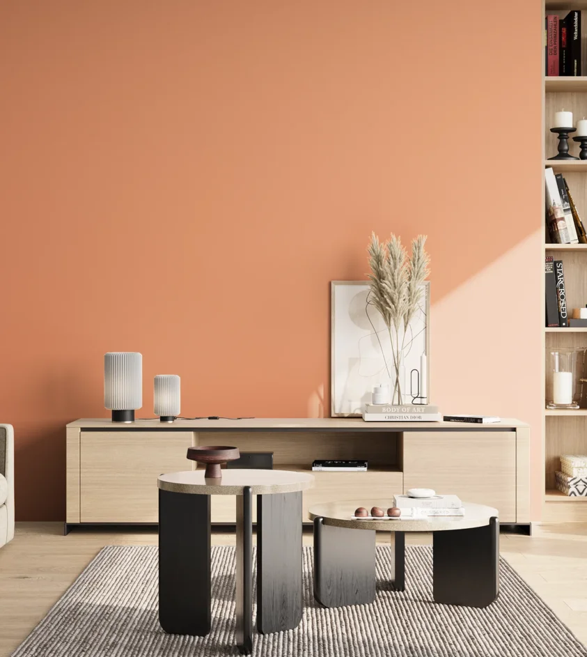 P10_SNIEZKA_salon_02_poludnie_GREY_S1040-Y60R