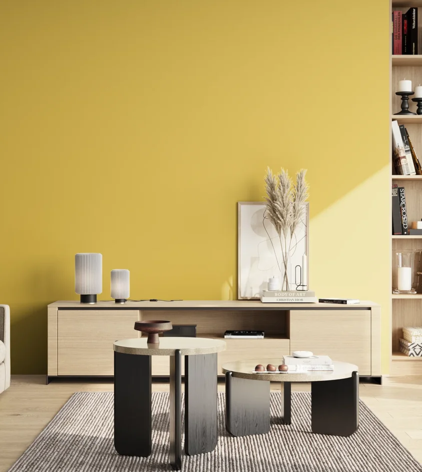 P10_SNIEZKA_salon_02_poludnie_GREY_S1050-Y