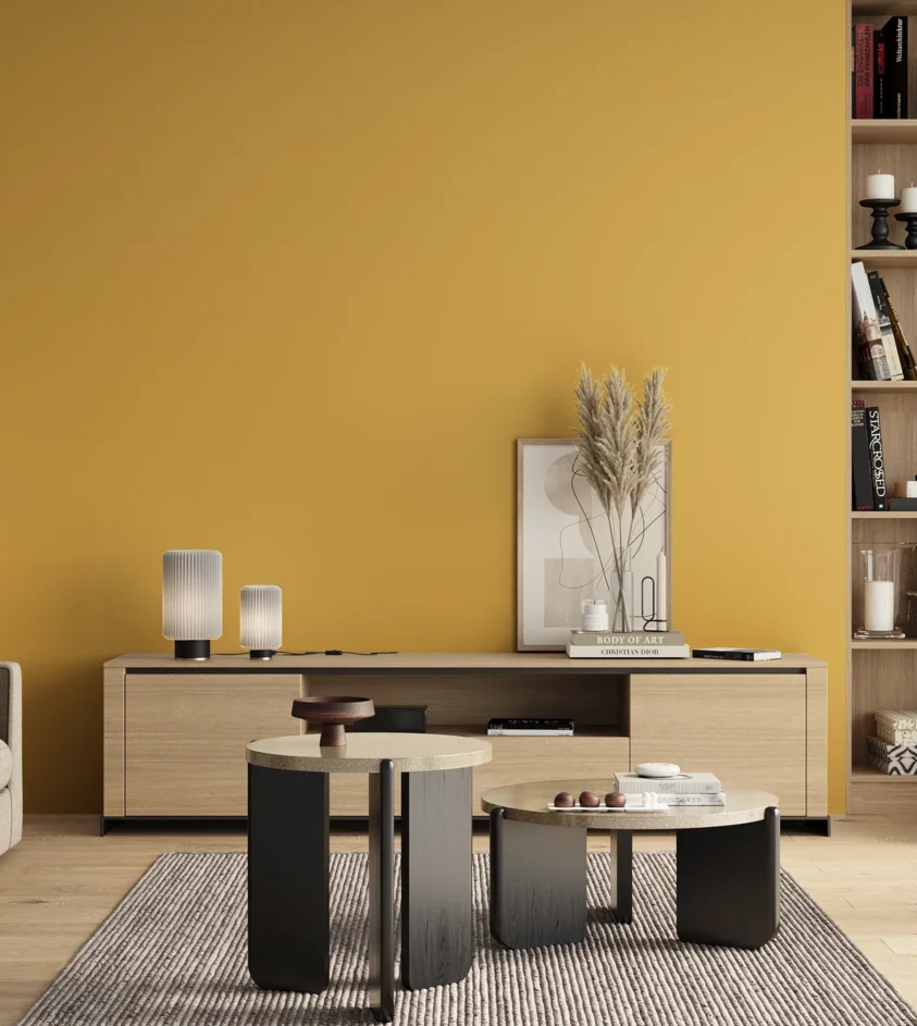 P10_SNIEZKA_salon_00_neutral_GREY_S1050-Y10R