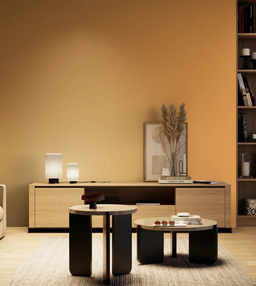 P10_SNIEZKA_salon_04_cieple_GREY_S1050-Y30R
