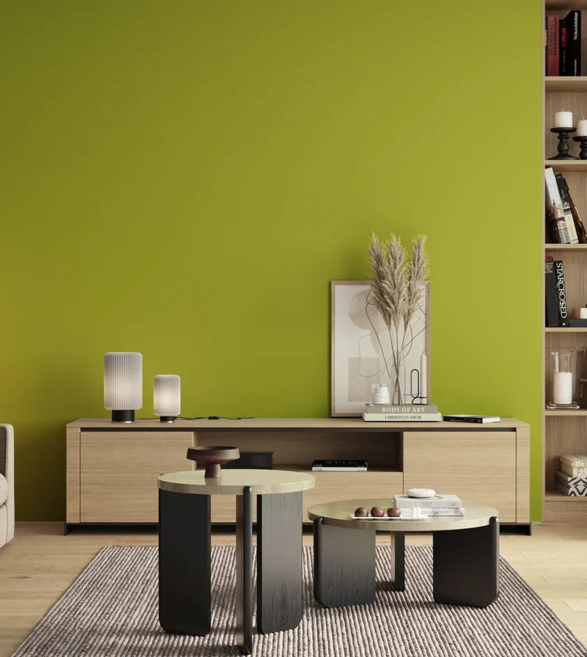P10_SNIEZKA_salon_00_neutral_GREY_S1070-G60Y