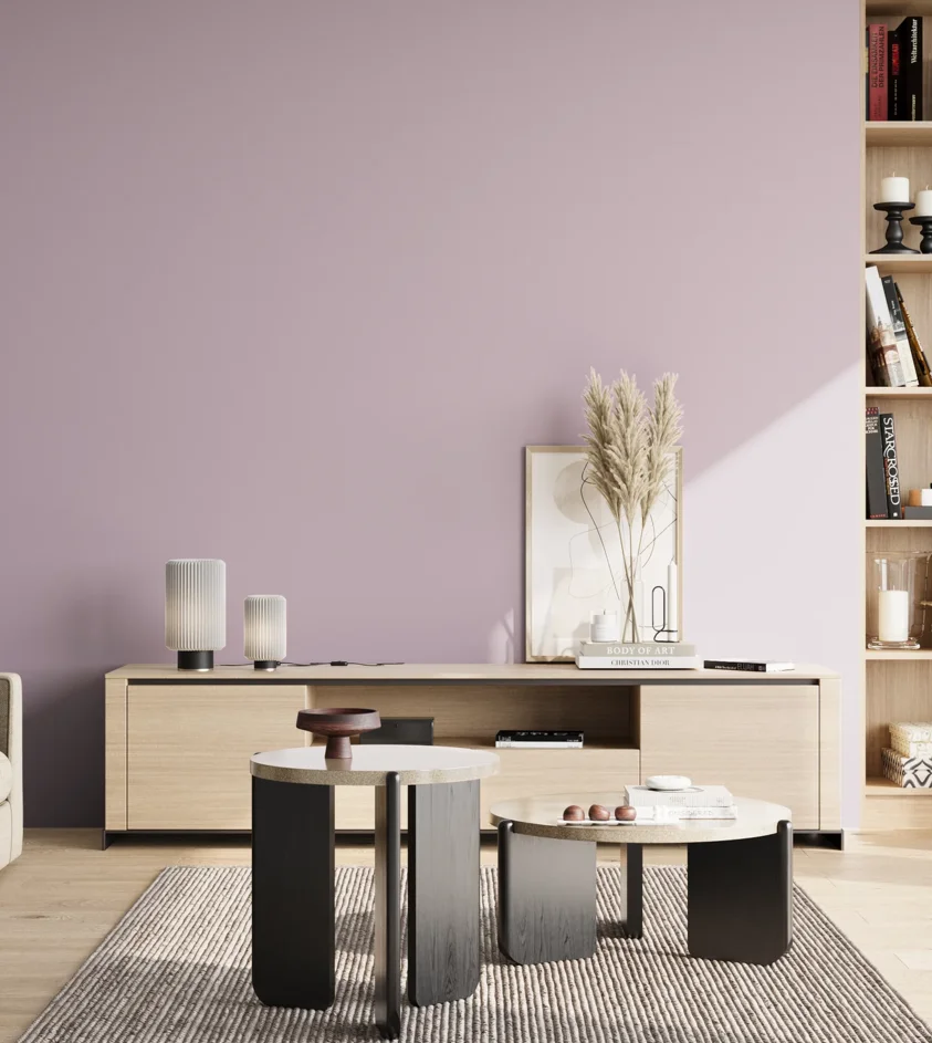 P10_SNIEZKA_salon_02_poludnie_GREY_S1515-R40B