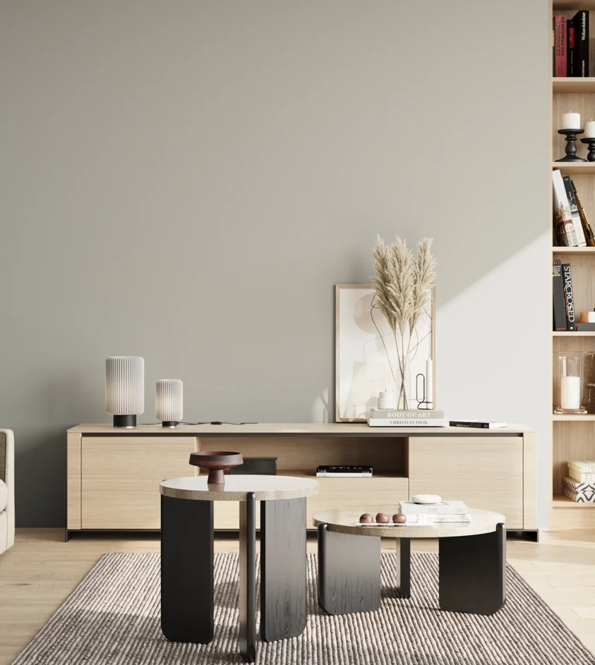 P10_SNIEZKA_salon_02_poludnie_GREY_S2002-G50Y