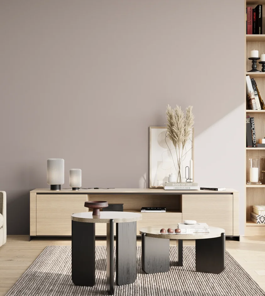 P10_SNIEZKA_salon_02_poludnie_GREY_S2005-R10B