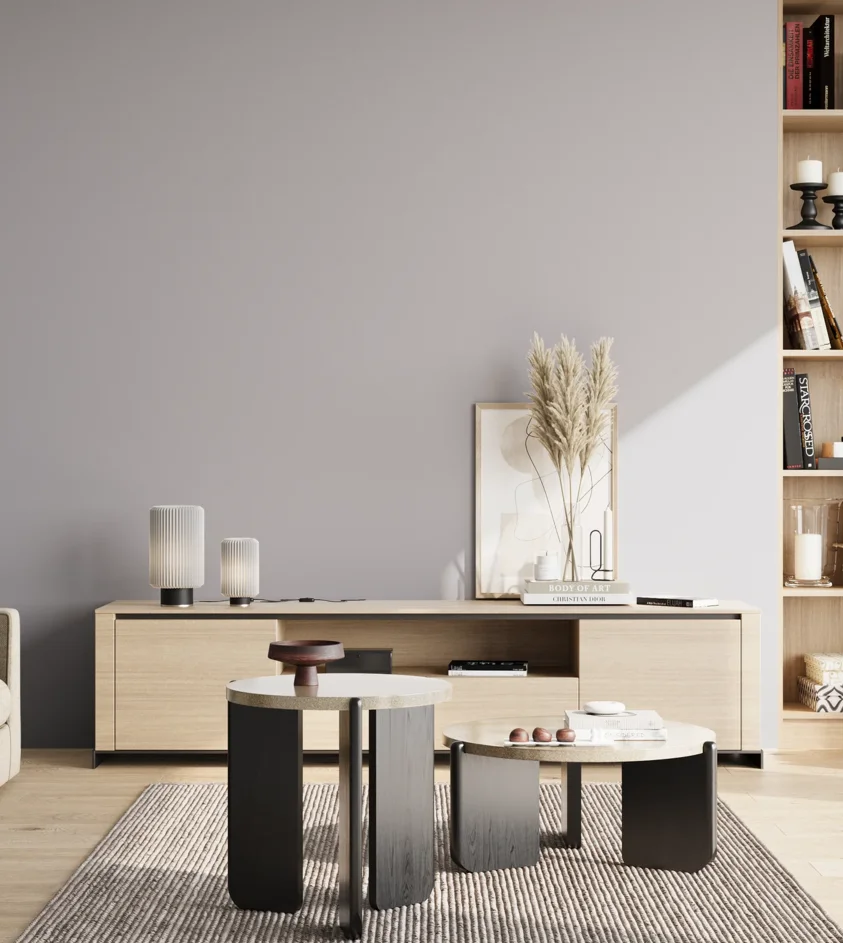 P10_SNIEZKA_salon_02_poludnie_GREY_S2005-R60B