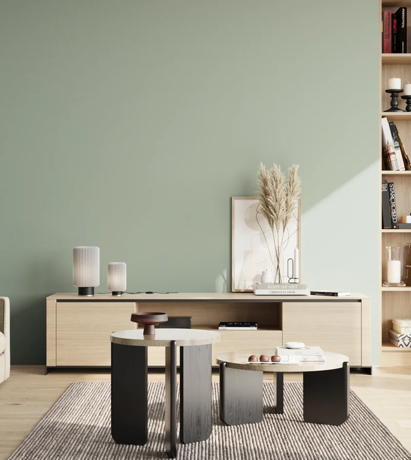 P10_SNIEZKA_salon_02_poludnie_GREY_S2010-G