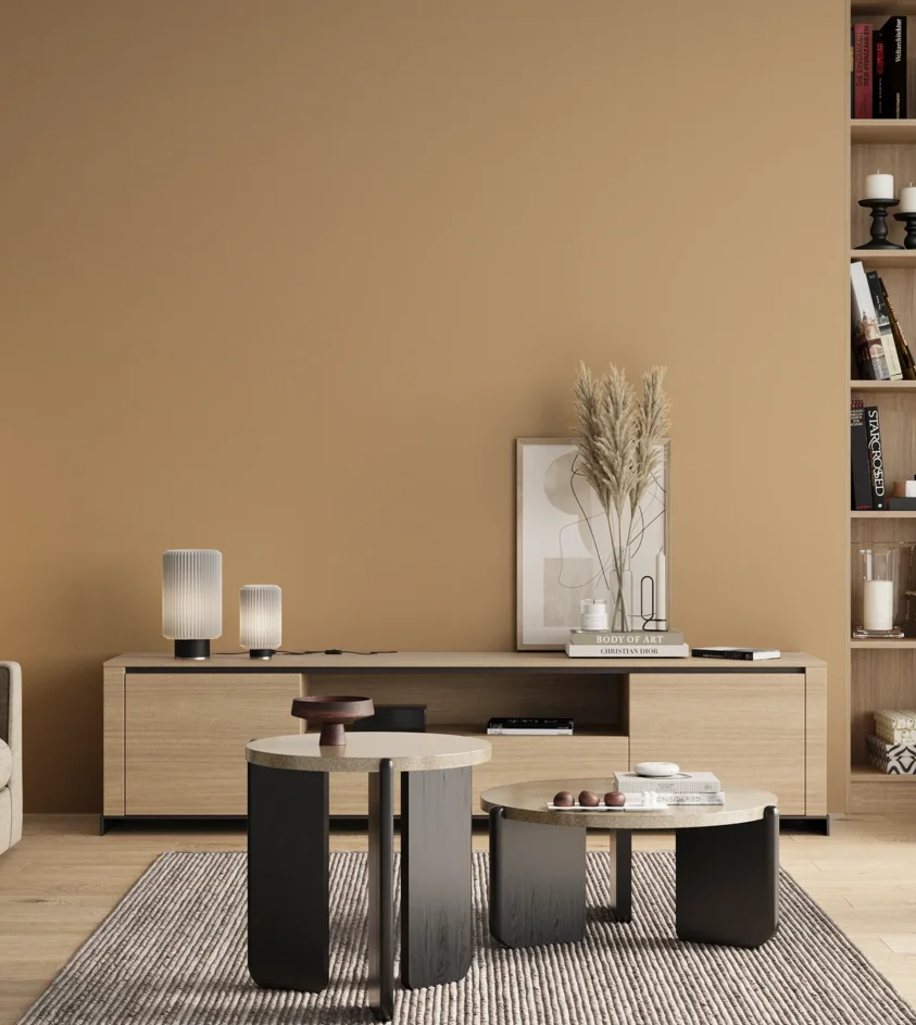 P10_SNIEZKA_salon_00_neutral_GREY_S2020-Y30R