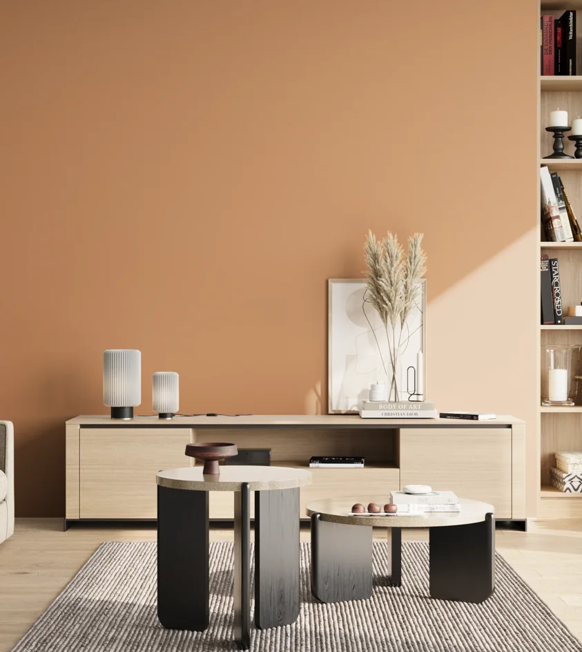 P10_SNIEZKA_salon_02_poludnie_GREY_S2030-Y40R
