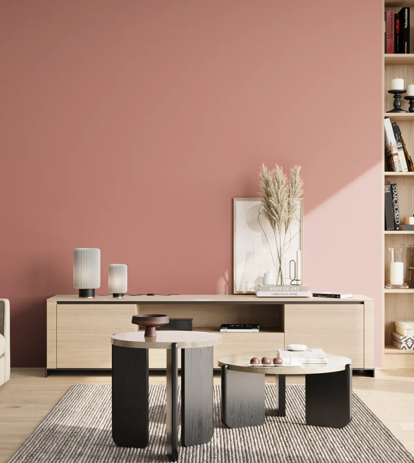 P10_SNIEZKA_salon_02_poludnie_GREY_S2030-Y90R