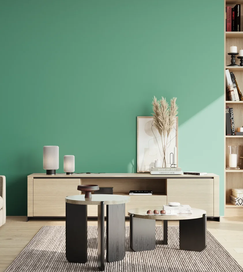 P10_SNIEZKA_salon_02_poludnie_GREY_S2040-B90G