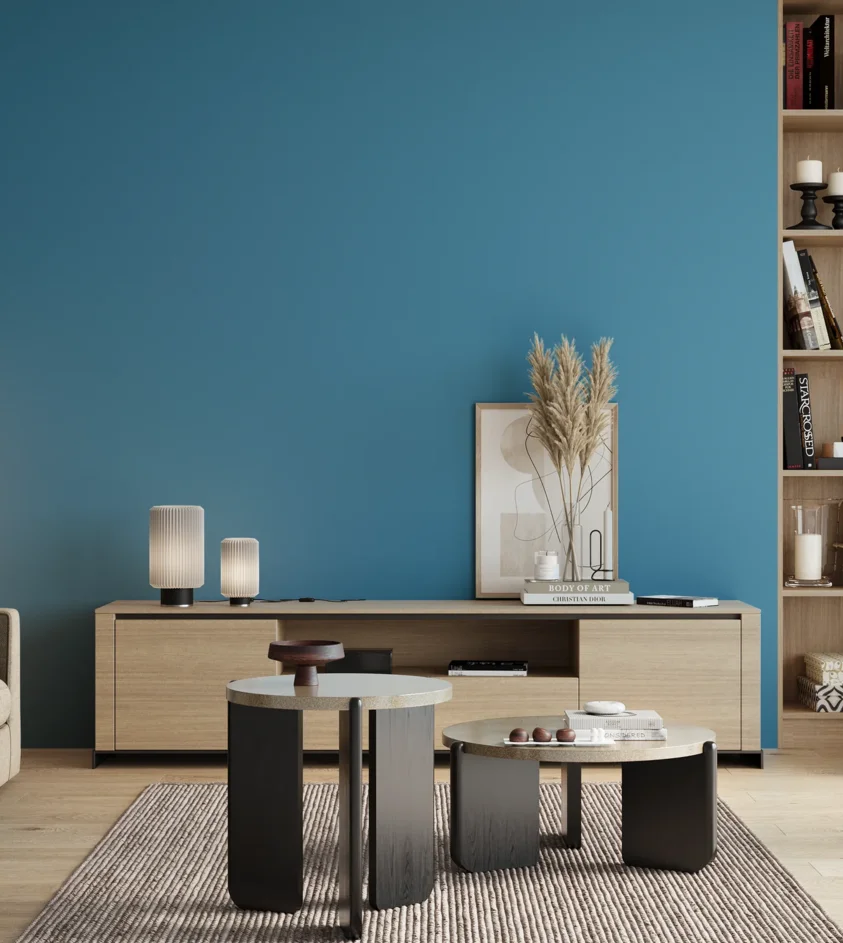 P10_SNIEZKA_salon_00_neutral_GREY_S2050-B