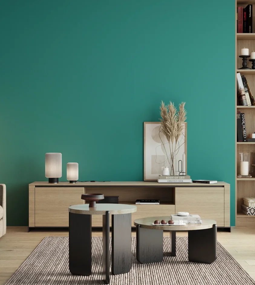 P10_SNIEZKA_salon_00_neutral_GREY_S2050-B50G