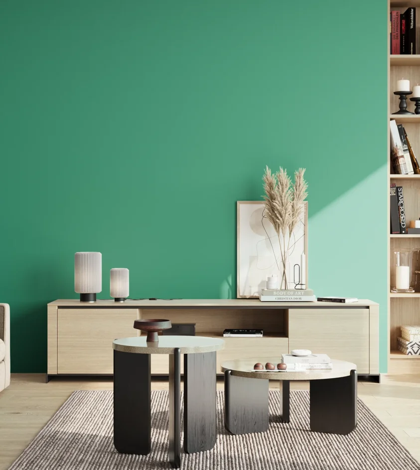 P10_SNIEZKA_salon_02_poludnie_GREY_S2050-B90G