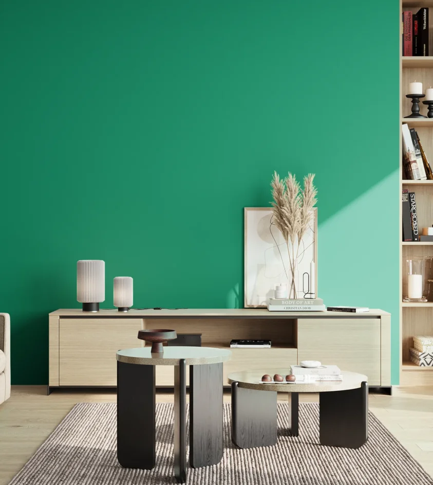 P10_SNIEZKA_salon_02_poludnie_GREY_S2060-B90G