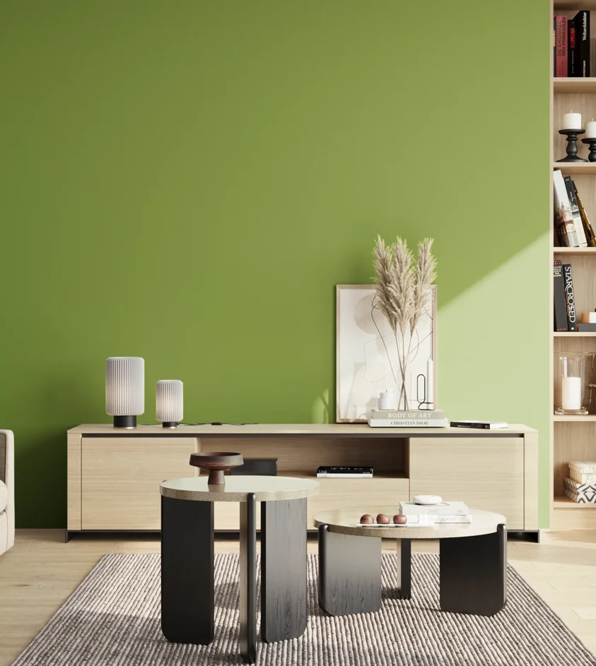 P10_SNIEZKA_salon_02_poludnie_GREY_S2060-G40Y
