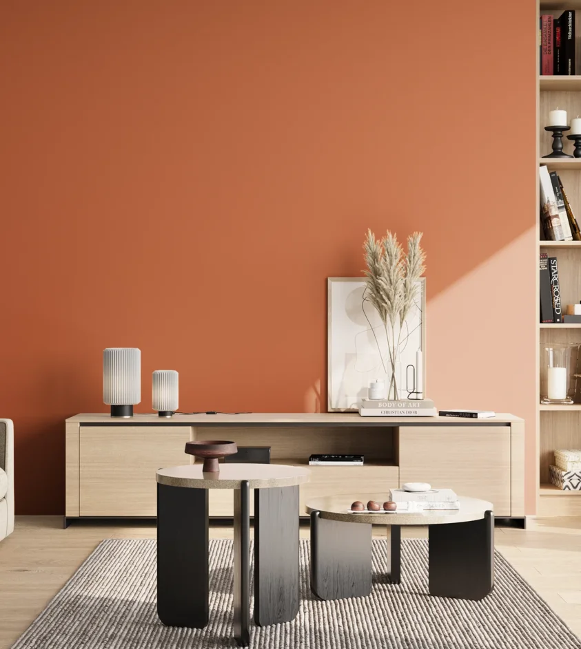 P10_SNIEZKA_salon_02_poludnie_GREY_S2060-Y60R