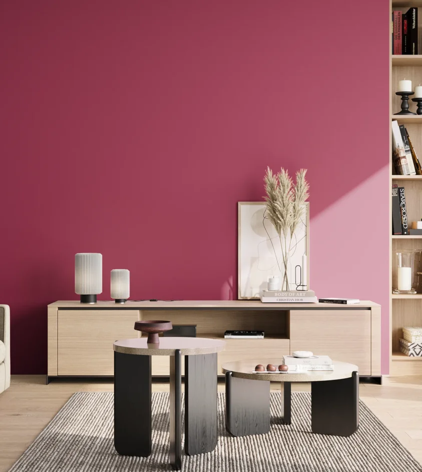 P10_SNIEZKA_salon_02_poludnie_GREY_S2065-R20B