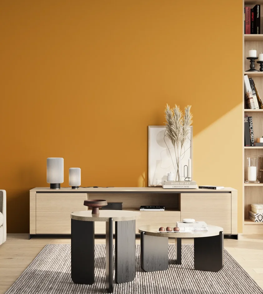P10_SNIEZKA_salon_02_poludnie_GREY_S2070-Y20R
