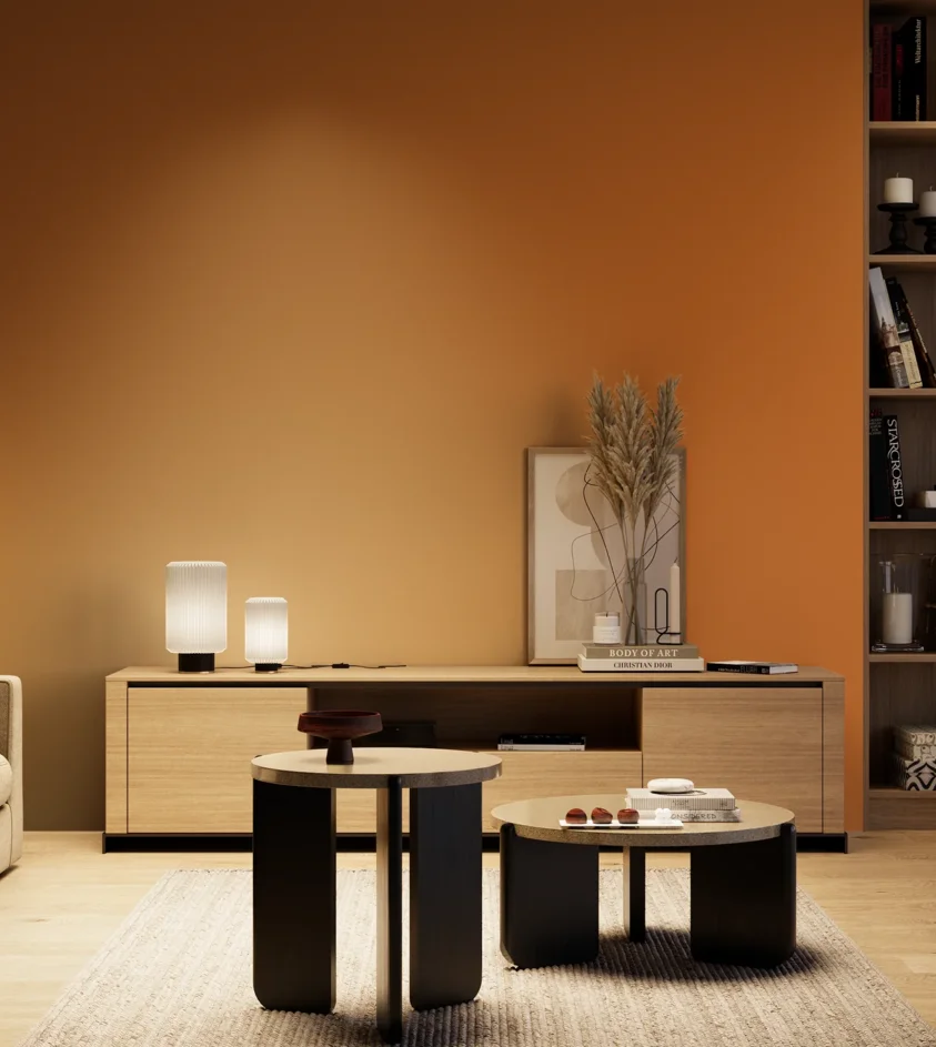 P10_SNIEZKA_salon_04_cieple_GREY_S2570-Y40R