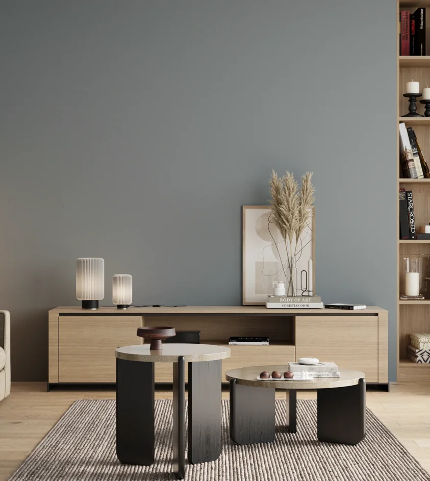 P10_SNIEZKA_salon_00_neutral_GREY_S3010-B