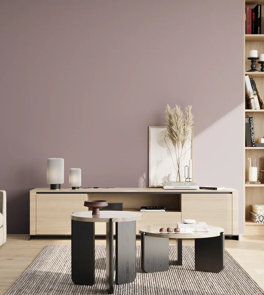 P10_SNIEZKA_salon_02_poludnie_GREY_S3010-R30B